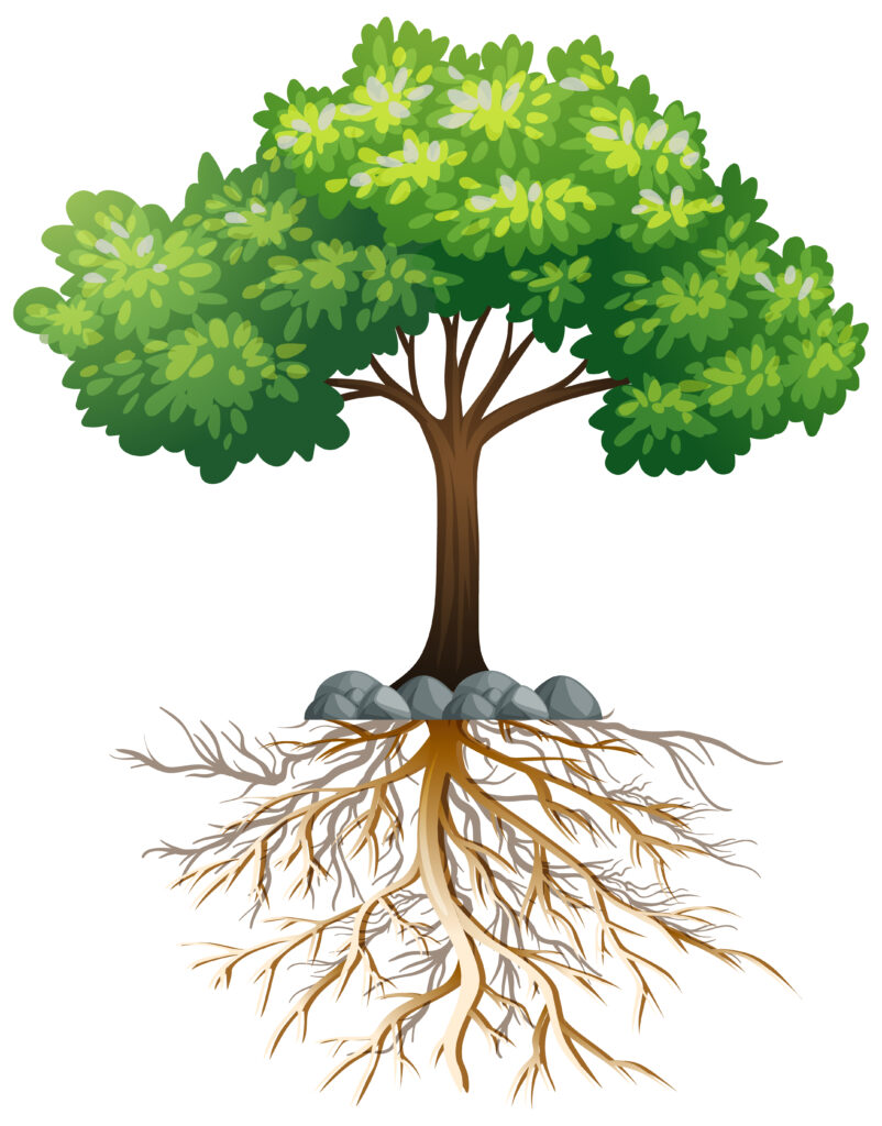 Big green tree with roots underground on white background illustration